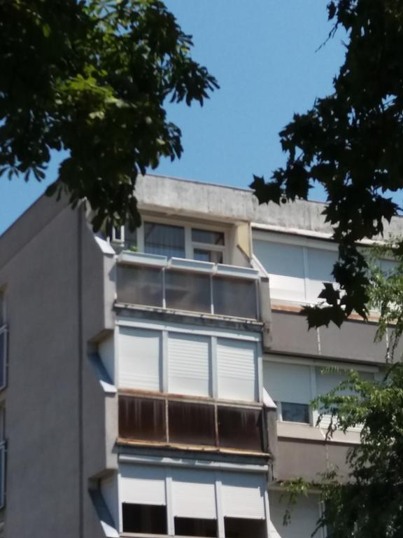 Malnas Macska Apartman Szekszárd Buitenkant foto