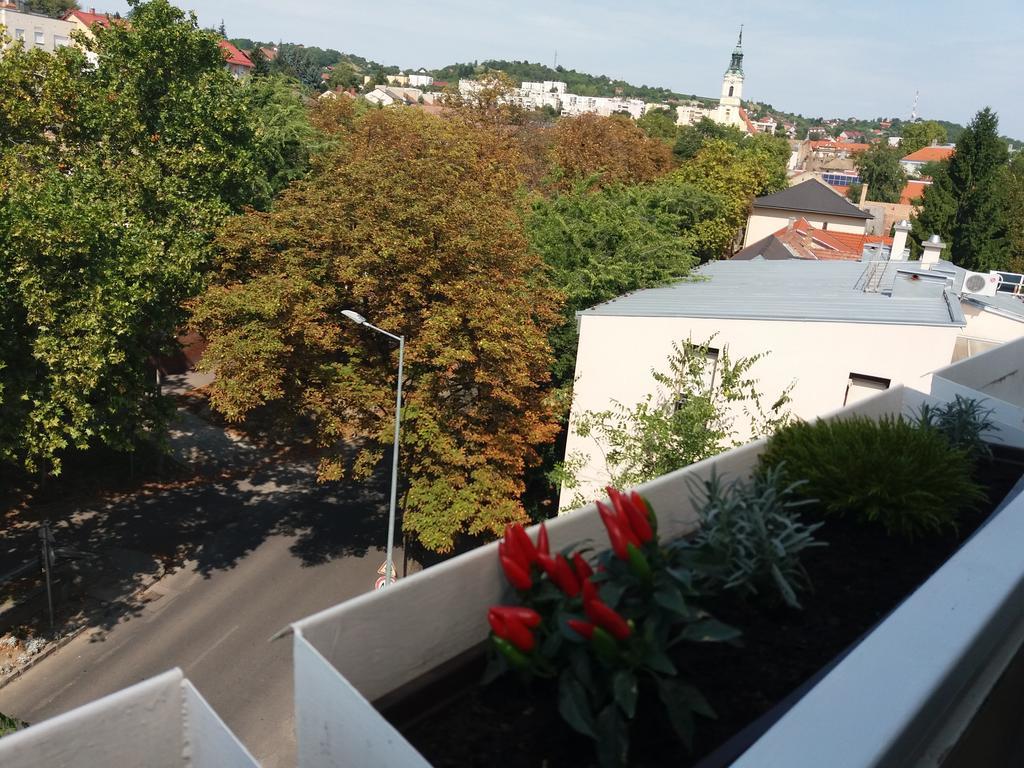Malnas Macska Apartman Szekszárd Buitenkant foto